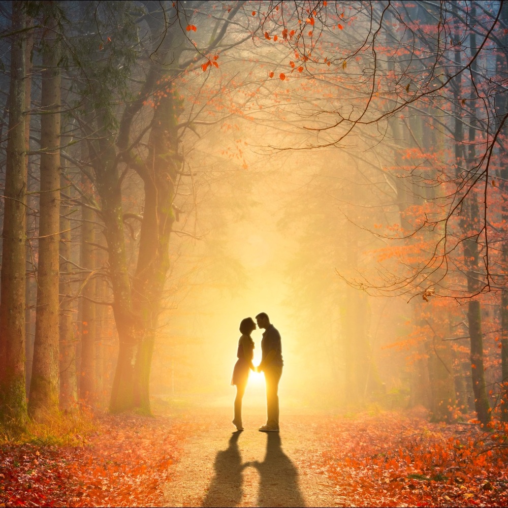 Meet your Posher, Cade